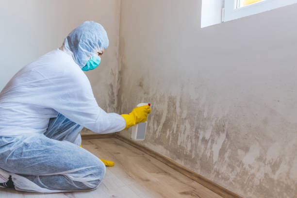 Mold inspector in Revere performing thermal imaging